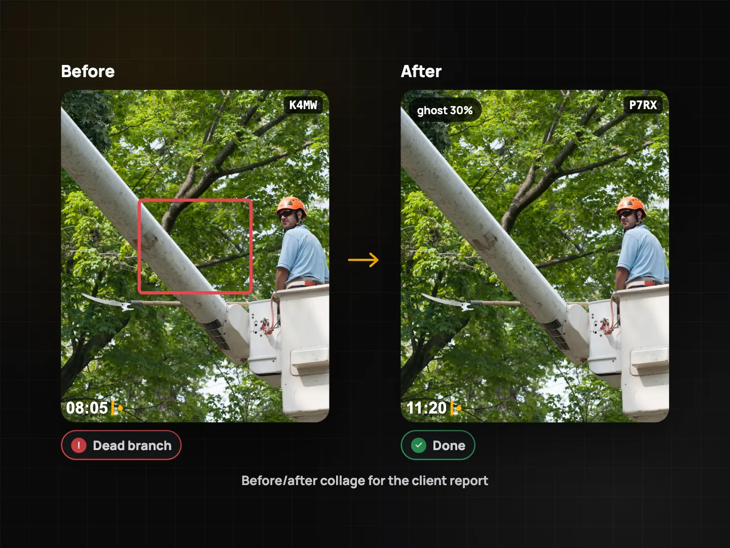 Before photo of a tree with a red box marking a dead branch, and the after photo taken over a ghost overlay marked Done