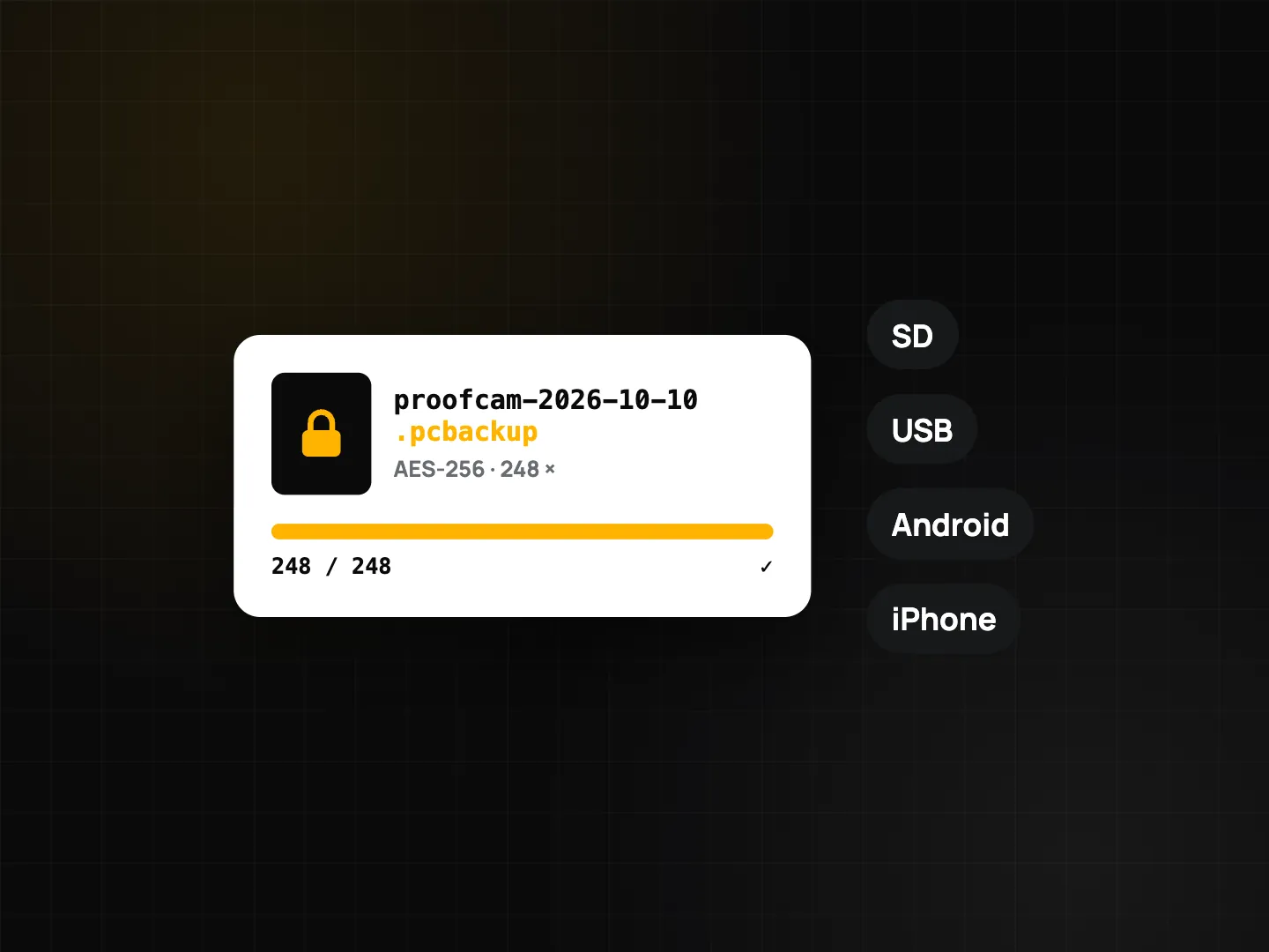Encrypted backup file proofcam-2026-10-10.pcbackup with AES-256, progress 248 of 248, and destinations SD, USB, Android and iPhone
